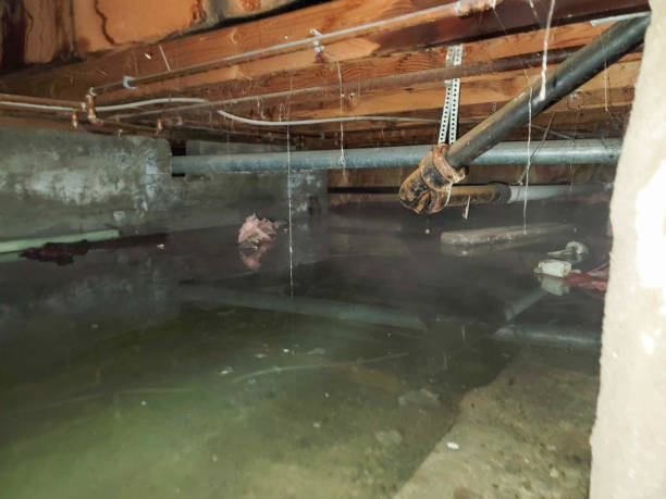  Avon, CO Water damage restoration Pros