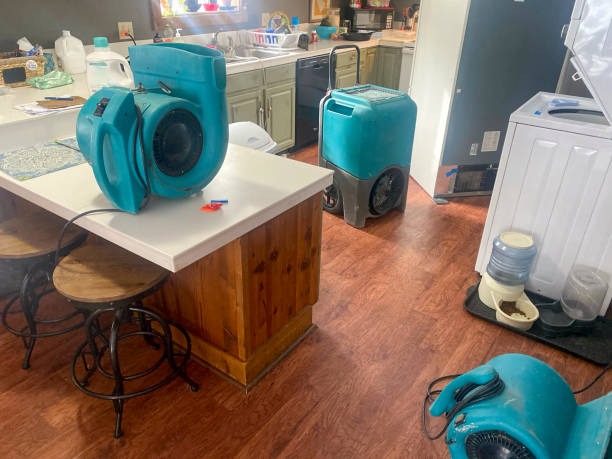 Best Water damage repair service  in Avon, CO