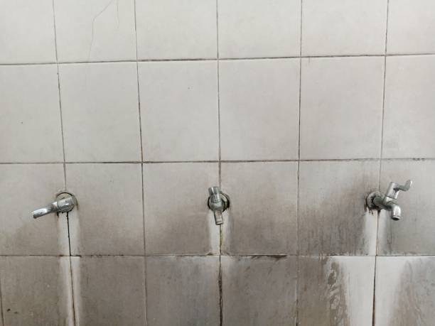 Best Water damage restoration cost  in Avon, CO