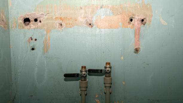 Best Flooded house restoration  in Avon, CO