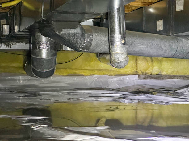 Best Ceiling water damage repair  in Avon, CO