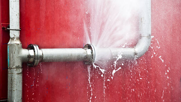 Best Mold removal after water damage  in Avon, CO